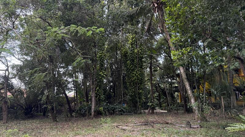 TERRENO NO CENTRO DE ARRAIAL D'AJUDA - foto 6