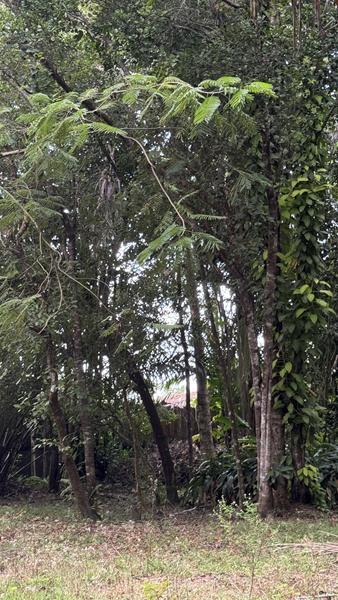 TERRENO NO CENTRO DE ARRAIAL D'AJUDA - foto 10