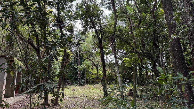 TERRENO NO CENTRO DE ARRAIAL D'AJUDA - foto 1