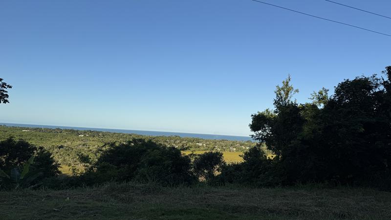 TERRENO COM VISTA PANORÂMICA - foto 22