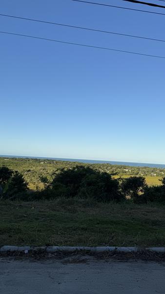 TERRENO COM VISTA PANORÂMICA - foto 23