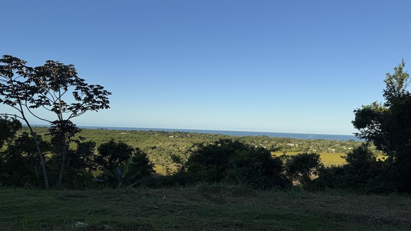 TERRENO COM VISTA PANORÂMICA - foto 20