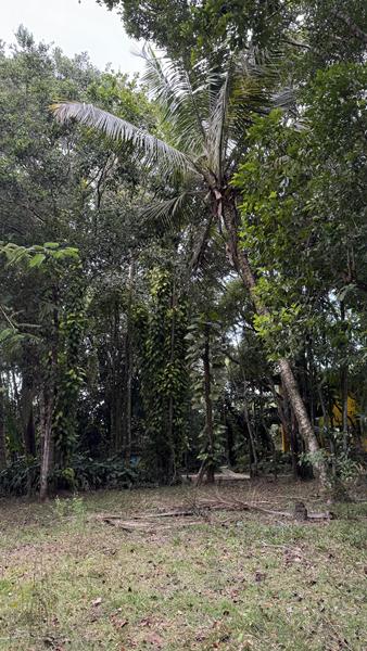 TERRENO NO CENTRO DE ARRAIAL D'AJUDA - foto 5