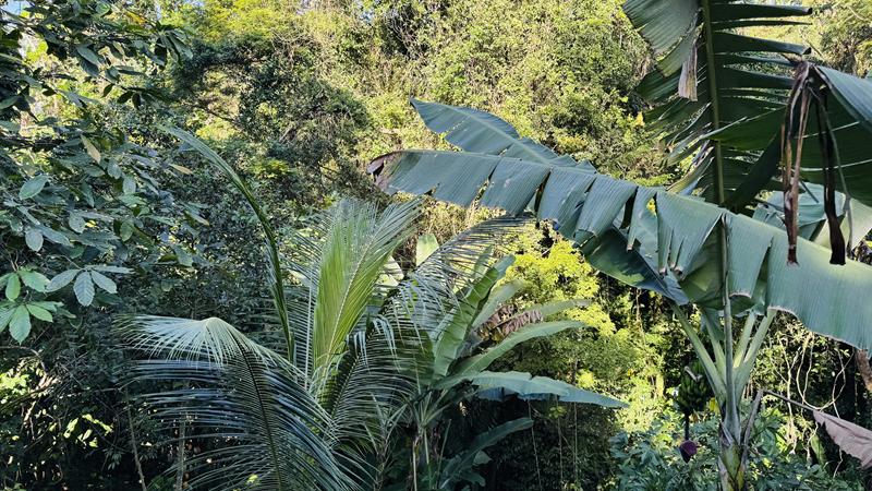 CASA LOCALIZADA NO CENTRO DE ARRAIAL d'AJUDA, INTEGRADA Á NATUREZA - foto 27