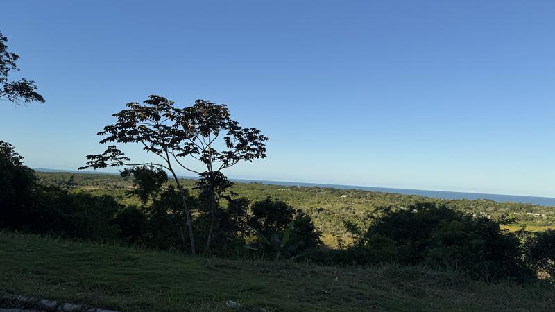 TERRENO COM VISTA PANORÂMICA - foto 21