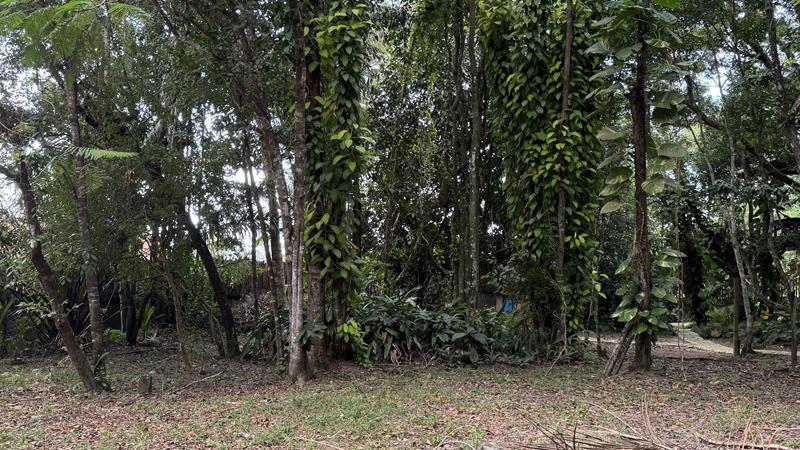 TERRENO NO CENTRO DE ARRAIAL D'AJUDA - foto 15