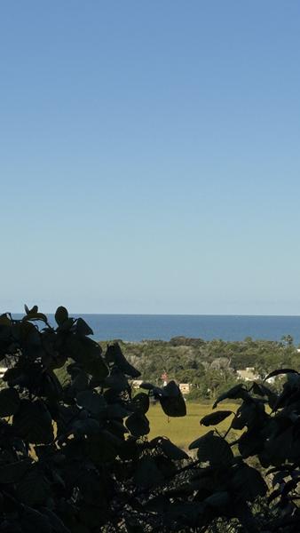 TERRENO COM VISTA PANORÂMICA - foto 12