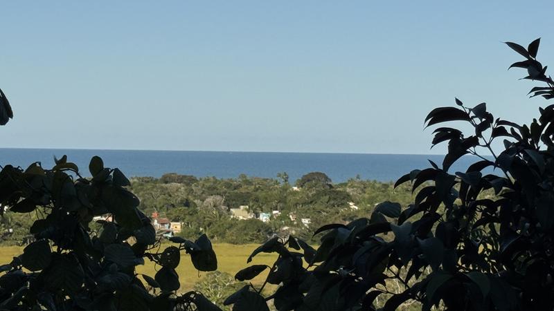 TERRENO COM VISTA PANORÂMICA - foto 13