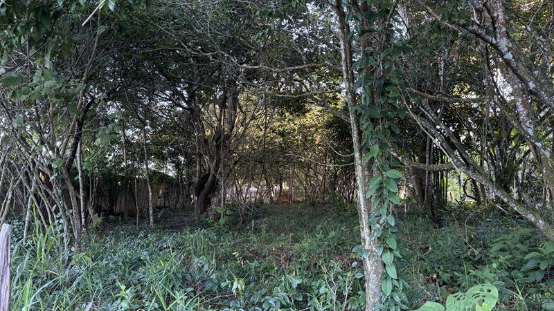 TERRENO COM VISTA PANORÂMICA - foto 1