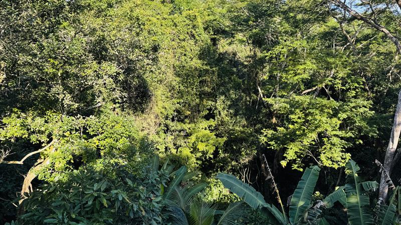 CASA LOCALIZADA NO CENTRO DE ARRAIAL d'AJUDA, INTEGRADA Á NATUREZA - foto 24
