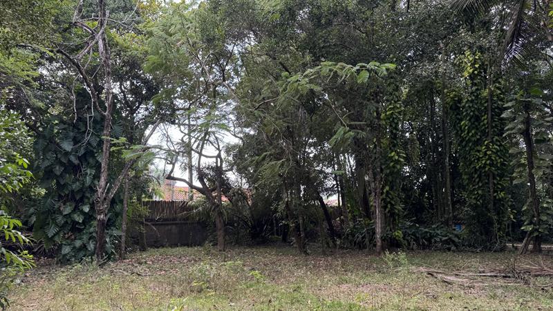 TERRENO NO CENTRO DE ARRAIAL D'AJUDA - foto 3