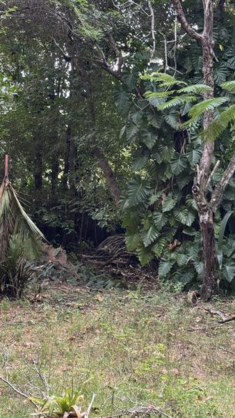 TERRENO NO CENTRO DE ARRAIAL D'AJUDA - foto 11