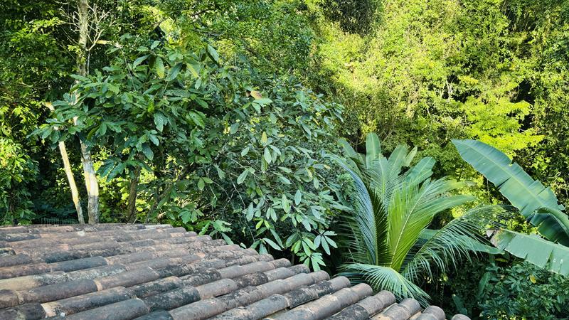 CASA LOCALIZADA NO CENTRO DE ARRAIAL d'AJUDA, INTEGRADA Á NATUREZA - foto 22