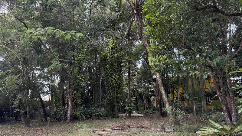 TERRENO NO CENTRO DE ARRAIAL D'AJUDA - foto 4
