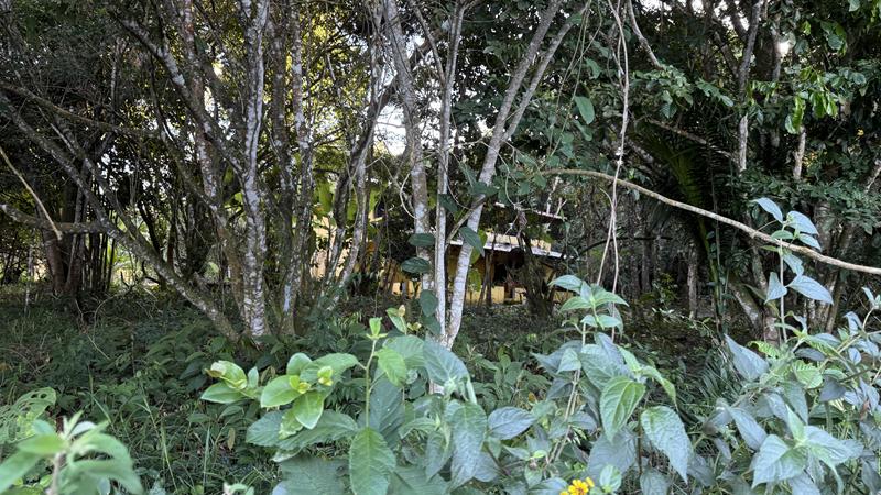 TERRENO COM VISTA PANORÂMICA - foto 2