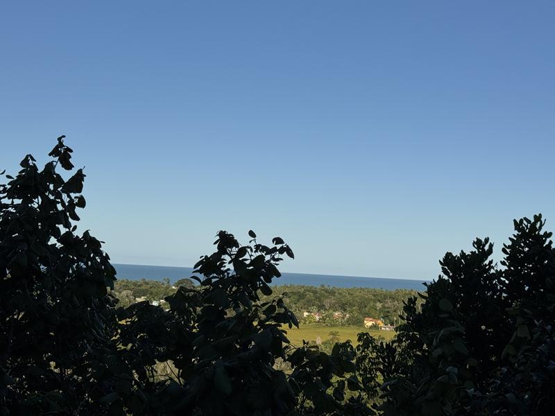 TERRENO COM VISTA PANORÂMICA - foto 17