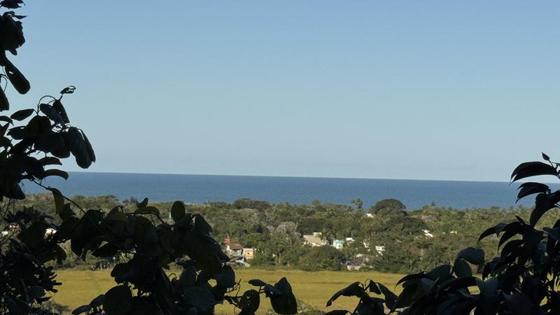 TERRENO COM VISTA PANORÂMICA - foto 11