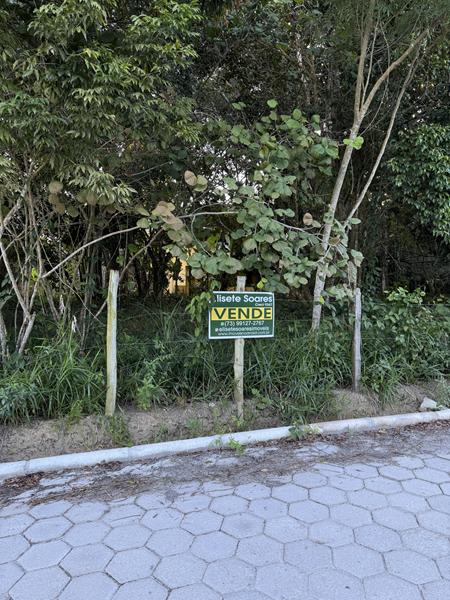 TERRENO COM VISTA PANORÂMICA - foto 15