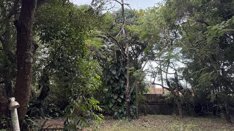 TERRENO NO CENTRO DE ARRAIAL D'AJUDA - foto 7