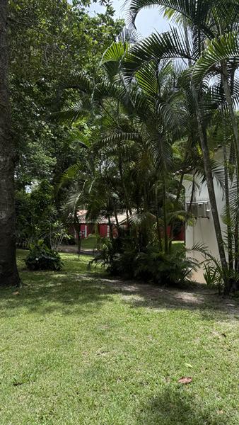 TERRENO PARA CONDOMÍNIO A 200M DA PRAIA ARAÇAIPE - foto 19