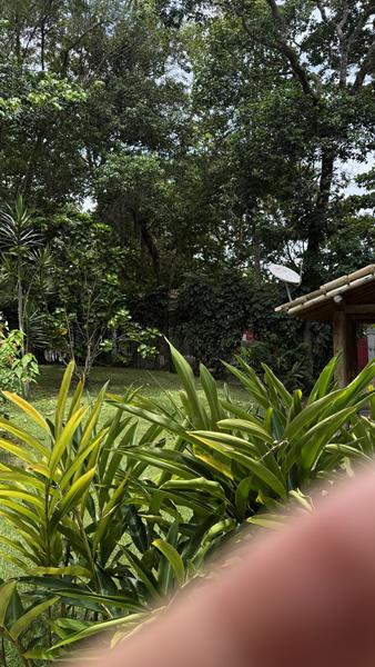 TERRENO PARA CONDOMÍNIO A 200M DA PRAIA ARAÇAIPE - foto 6