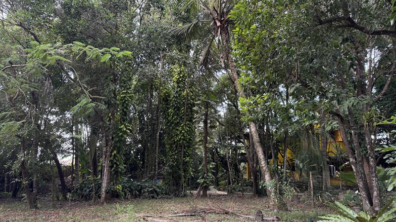 TERRENO NO CENTRO DE ARRAIAL D'AJUDA - foto 8